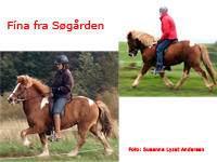 Fina fra Sgrd