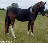 Freisting f. Ballebkgrd