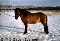 Jki f. Vesterovergard