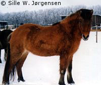 Kella f. 