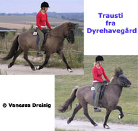 Trausti fra Dyrehavegrd